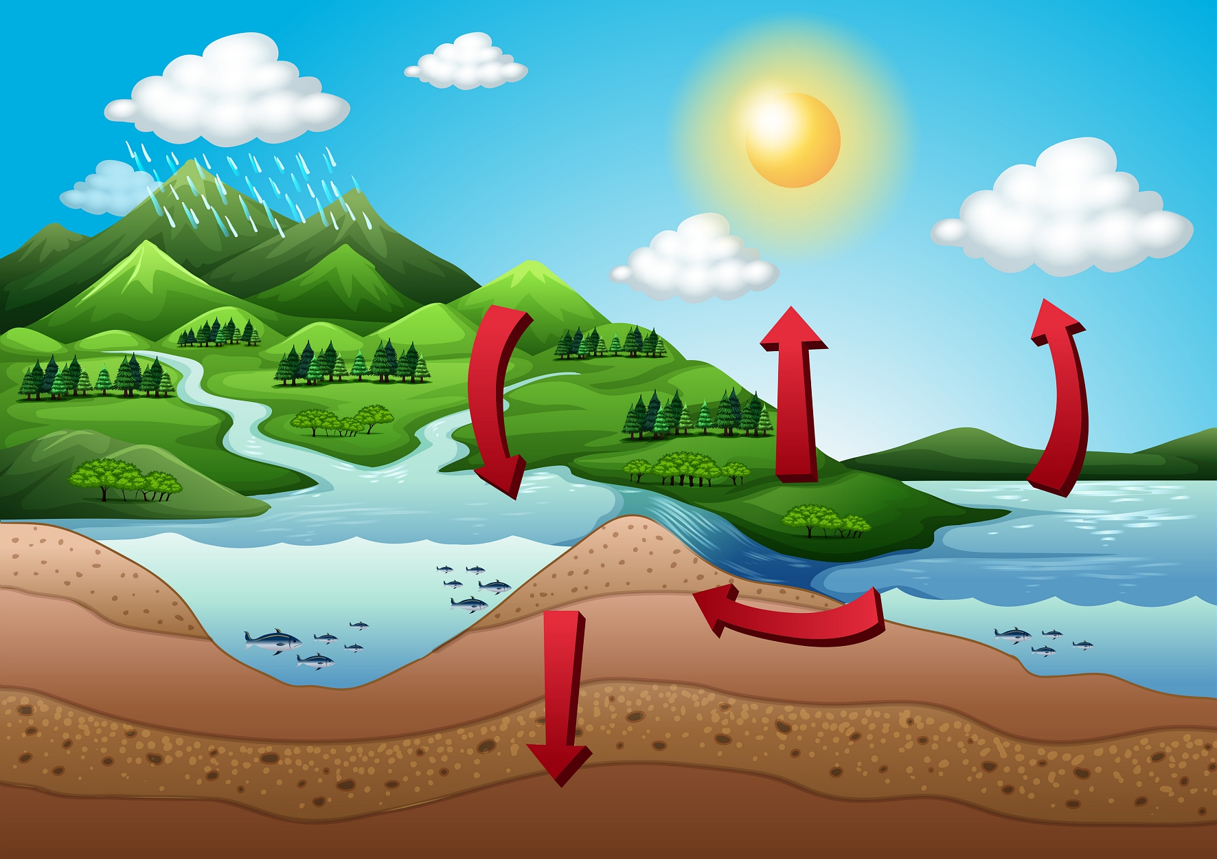 illustration cycle de l'eau