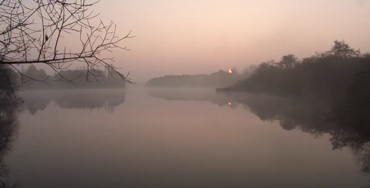 Afficher la vidéo Lacs et étangs du littoral aquitain : un territoire d'exception