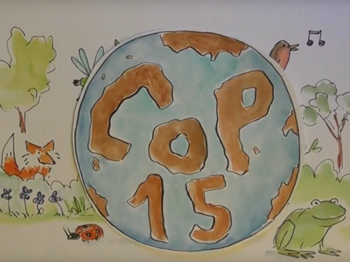 Afficher la vidéo COP 15, un nouveau cadre mondial pour la biodiversité