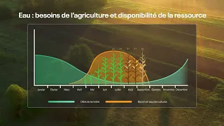 Afficher la vidéo L'eau en été : entre disponibilité et besoins pour l'agriculture
