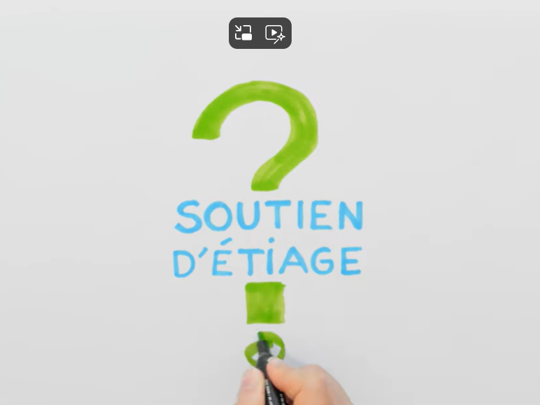 Afficher la vidéo 