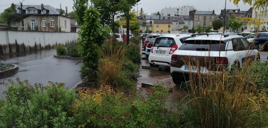 Espace végétalisé gérant les eaux pluviales d'un parking